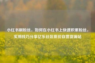 小红书刷粉丝，如何在小红书上快速积累粉丝，实用技巧分享亿乐社区低价自营货源站