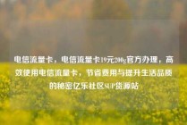 电信流量卡，电信流量卡19元200g官方办理，高效使用电信流量卡，节省费用与提升生活品质的秘密亿乐社区SUP货源站