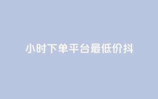 24小时下单平台最低价抖,QQ名片1w - dy24小时下单平台粉丝 - 彩虹货源站