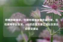 哔哩哔哩播放，哔哩哔哩播放量收益计算，在线视频平台新宠，B站的迅猛发展亿乐社区低价自营货源站