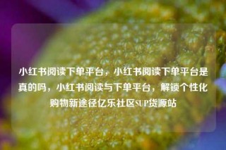 小红书阅读下单平台，小红书阅读下单平台是真的吗，小红书阅读与下单平台，解锁个性化购物新途径亿乐社区SUP货源站