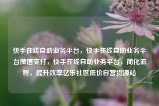 快手在线自助业务平台，快手在线自助业务平台微信支付，快手在线自助业务平台，简化流程，提升效率亿乐社区低价自营货源站