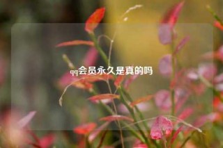 qq会员永久是真的吗