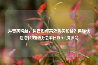 抖音买粉丝，抖音如何高效购买粉丝？揭秘快速增长的秘诀亿乐社区SUP货源站