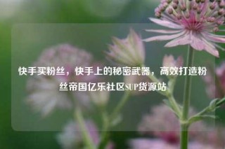 快手买粉丝，快手上的秘密武器，高效打造粉丝帝国亿乐社区SUP货源站