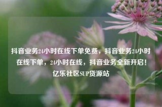抖音业务24小时在线下单免费，抖音业务24小时在线下单，24小时在线，抖音业务全新开启！亿乐社区SUP货源站