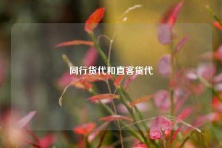 同行货代和直客货代