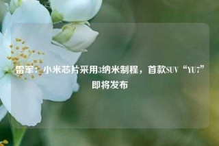 雷军：小米芯片采用3纳米制程，首款SUV“YU7”即将发布