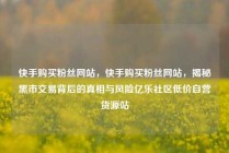 快手购买粉丝网站，快手购买粉丝网站，揭秘黑市交易背后的真相与风险亿乐社区低价自营货源站