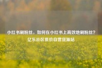 小红书刷粉丝，如何在小红书上高效地刷粉丝？亿乐社区低价自营货源站