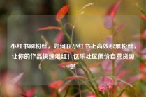 小红书刷粉丝，如何在小红书上高效积累粉丝，让你的作品快速爆红！亿乐社区低价自营货源站