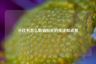 小红书怎么取消粉丝的关注和点赞