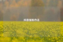 抖音涨粉办法