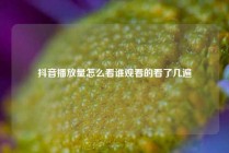 抖音播放量怎么看谁观看的看了几遍