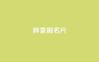 梓豪刷名片,点赞自助1元100赞 - 免费公安查询网 - 抖音怎么起号运营