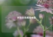 抖音在线观看电影