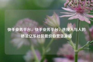快手业务平台，快手业务平台，连接人与人的桥梁亿乐社区低价自营货源站