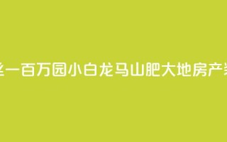 快手粉丝一百万0.01园小白龙马山肥大地房产装修网站,QQ红钻卡盟 - qq业务自助 - 子潇网络平台是合法吗