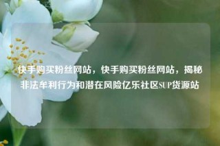 快手购买粉丝网站，快手购买粉丝网站，揭秘非法牟利行为和潜在风险亿乐社区SUP货源站