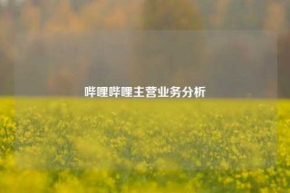 哔哩哔哩主营业务分析