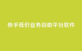 快手低价业务自助平台软件,q赞助手最新版下载 - qq业务名片 - QQ空间访客量网站