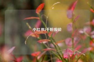 小红书5千粉报价