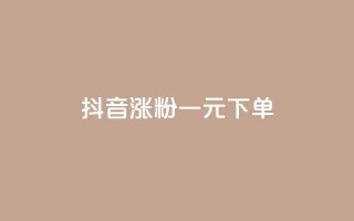 抖音涨粉一元下单,抖音点赞的推荐站点 - 卡盟排行榜第一的卡盟平台 - 抖音充值官方苹果手机