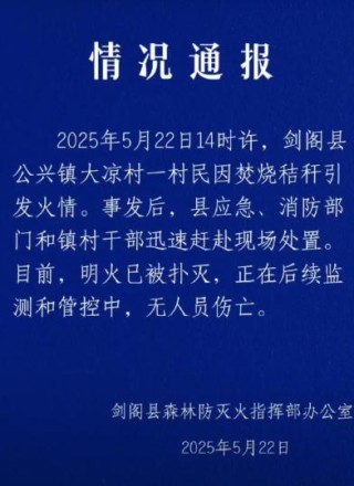 四川剑阁：山火系一村民烧秸秆引发，明火已扑灭无人员伤亡
