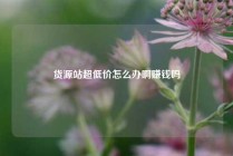 货源站超低价怎么办啊赚钱吗