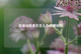 货源站超低价怎么办啊赚钱吗