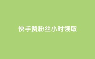 快手赞粉丝24小时领取,ks账号交易网 - QQ资料卡怎么点赞 - 24小时业务自动下单平台