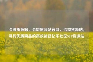 卡盟货源站，卡盟货源站官网，卡盟货源站，寻找优质商品的高效途径亿乐社区SUP货源站