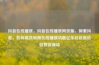 抖音在线播放，抖音在线播放网页版，探索抖音，如何高效利用在线播放功能亿乐社区低价自营货源站