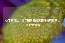 快手刷粉丝，快手刷粉丝的策略与技巧亿乐社区SUP货源站