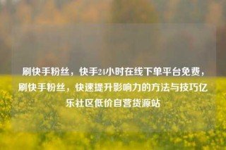 刷快手粉丝，快手24小时在线下单平台免费，刷快手粉丝，快速提升影响力的方法与技巧亿乐社区低价自营货源站
