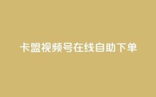 卡盟视频号在线自助下单 - 卡盟视频号在线下单，简单方便，让你实现视频推广新突破!