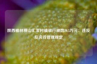 陕西榆林横山汇发村镇银行被罚20.5万元：违反反洗钱管理规定