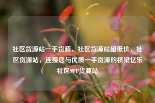 社区货源站一手货源，社区货源站超低价，社区货源站，连接您与优质一手货源的桥梁亿乐社区SUP货源站