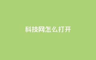 NAP6科技网怎么打开,快手粉丝卡盟 - pdd助力平台 - 投诉拼多多大转盘客服给补偿