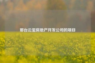 邢台云玺房地产开发公司的项目