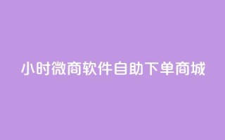 24小时微商软件自助下单商城 - 24小时自助下单微商商城软件推荐！