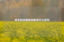 快手粉丝团级别高有什么好处