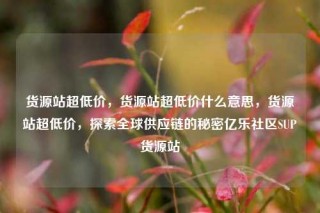 货源站超低价，货源站超低价什么意思，货源站超低价，探索全球供应链的秘密亿乐社区SUP货源站