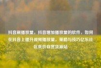 抖音刷播放量，抖音增加播放量的软件，如何在抖音上提升视频播放量，策略与技巧亿乐社区低价自营货源站