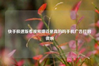快手极速版看视频赚钱是真的吗手机广告打的很响