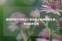 国家网信办持续深入整治网上金融信息乱象，典型案例公布