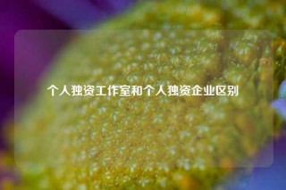 个人独资工作室和个人独资企业区别