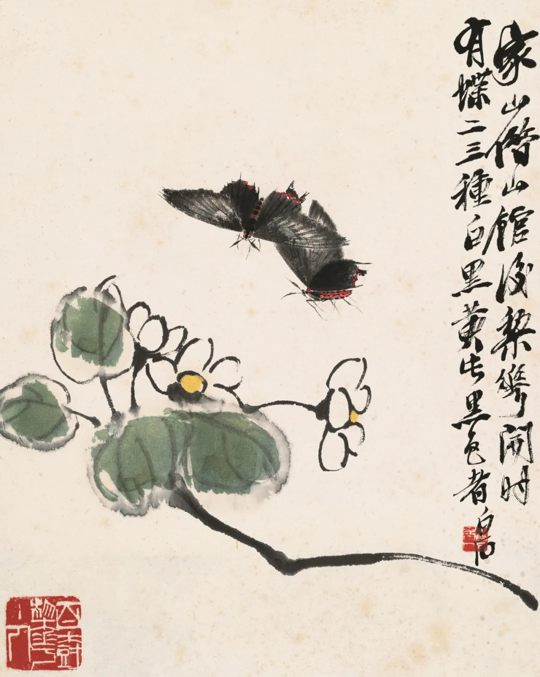 齐白石精品在波士顿展出，“白石画屋	”呈现水墨挥洒  第19张