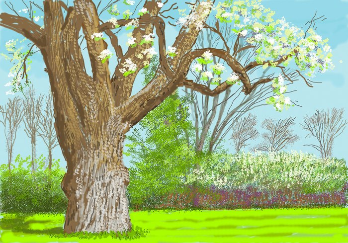 打破陈规，推翻“观看”：大卫·霍克尼首个数字艺术展登陆上海  第5张