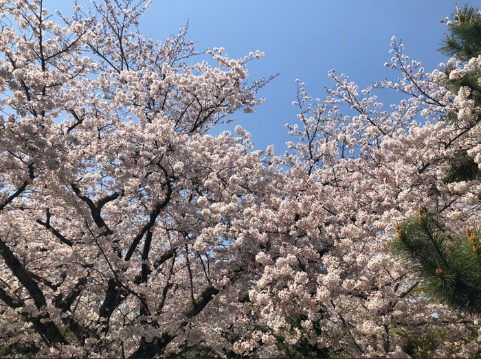 花开之处，便是故地  第20张